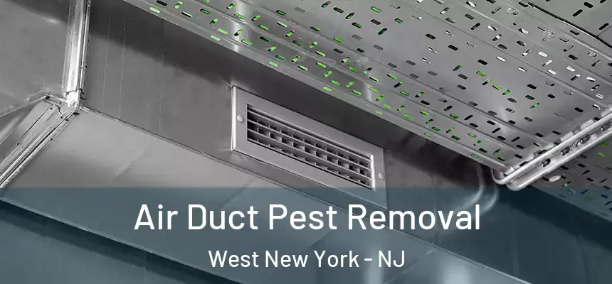 Air Duct Pest Removal West New York - NJ