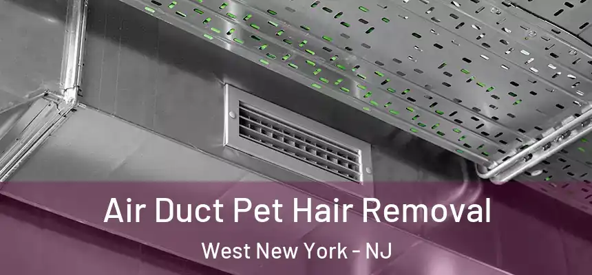  Air Duct Pet Hair Removal West New York - NJ
