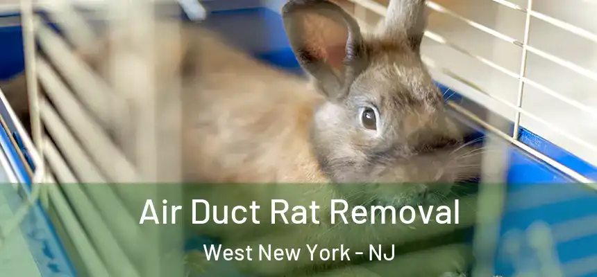 Air Duct Rat Removal West New York - NJ