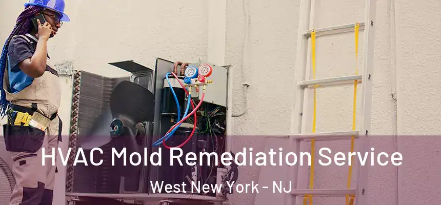  HVAC Mold Remediation Service West New York - NJ