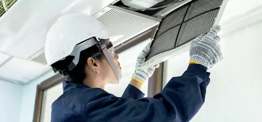 Our Mold & Mildew Removal from Air Ducts Services in West New York, NJ