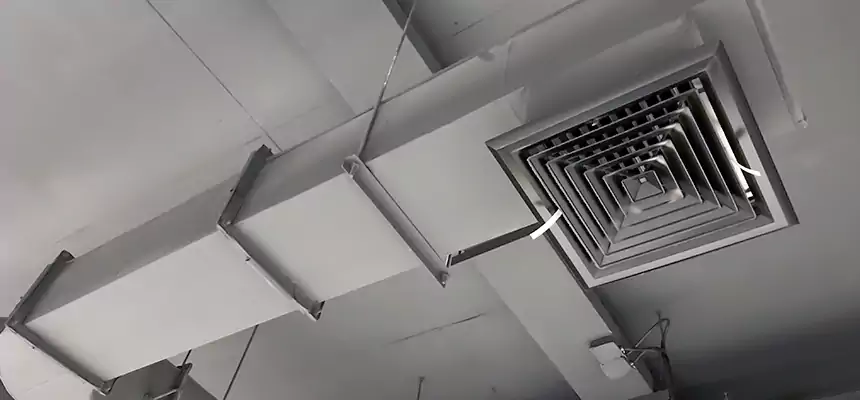 Our Pest Removal From Ducts Services in West New York, NJ