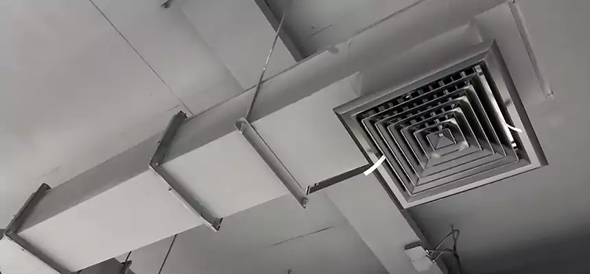 Our Rodent Droppings In Vents Services in West New York, NJ