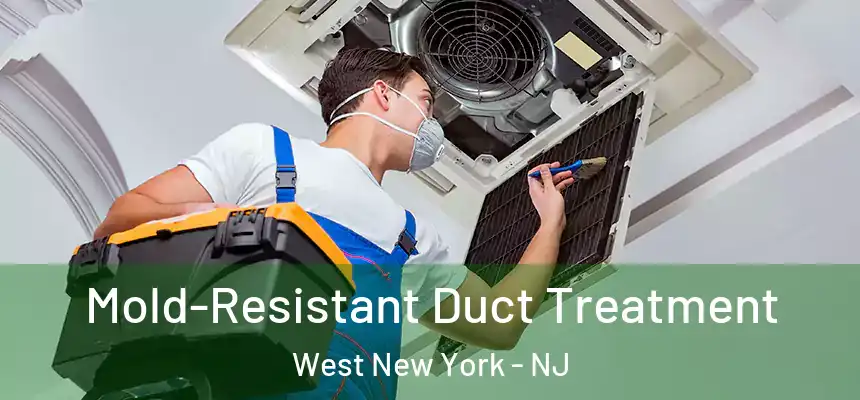  Mold-Resistant Duct Treatment West New York - NJ