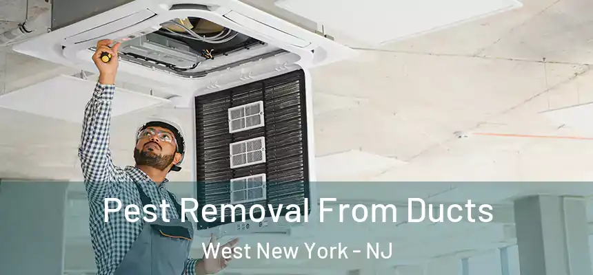 Pest Removal From Ducts West New York - NJ