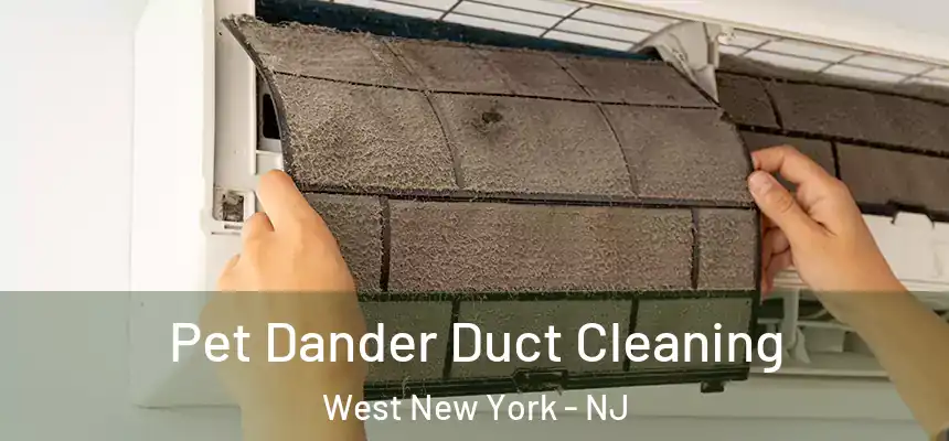 Pet Dander Duct Cleaning West New York - NJ