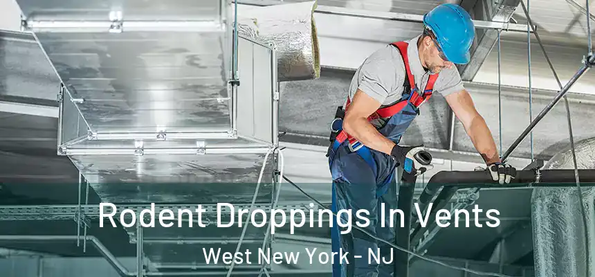  Rodent Droppings In Vents West New York - NJ