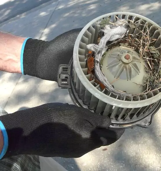 About Air Duct Mice Removal in West New York, NJ