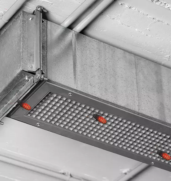 Affordable Insect Removal from Air Ducts in West New York, NJ